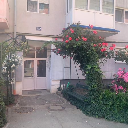 Cazare Medias, Apartament Modern Ngoại thất bức ảnh