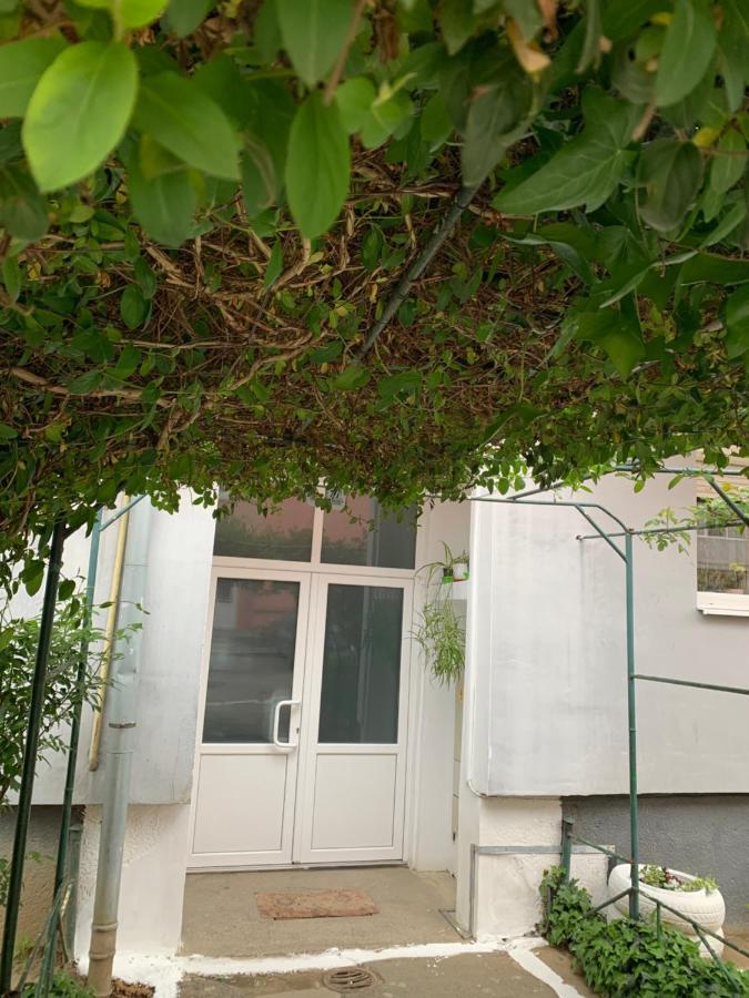 Cazare Medias, Apartament Modern Ngoại thất bức ảnh